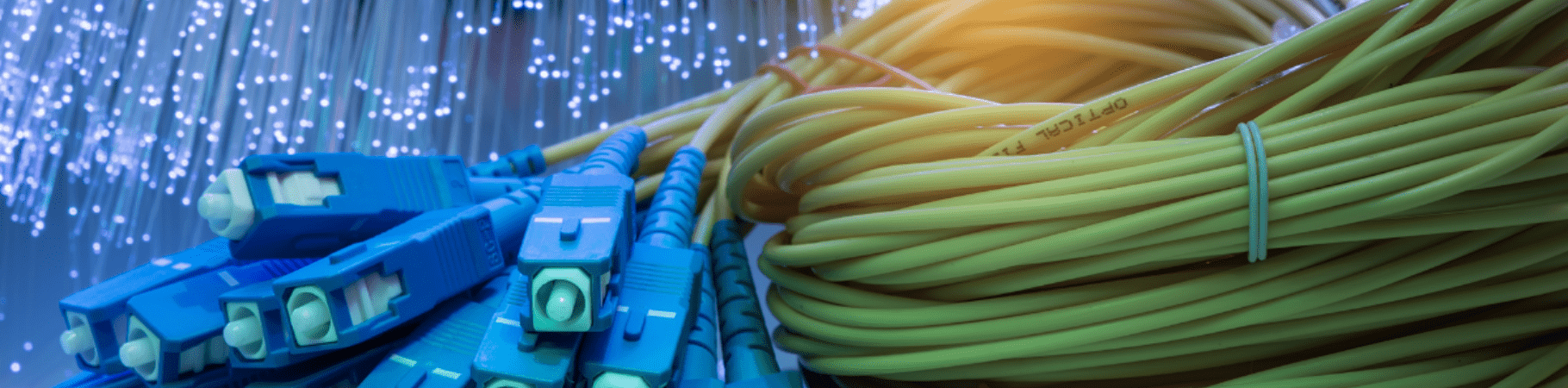 An assortment of various fiber optic cables bundled together over a blue background