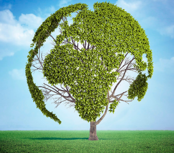 Tree Replicating the Shape of the World